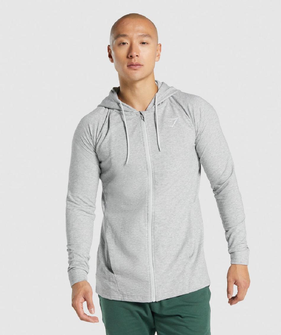 Gymshark Critical 2.0 Zip Up Muške Majica S Kapuljačom Svijetlo Sive | HR 2235NWY